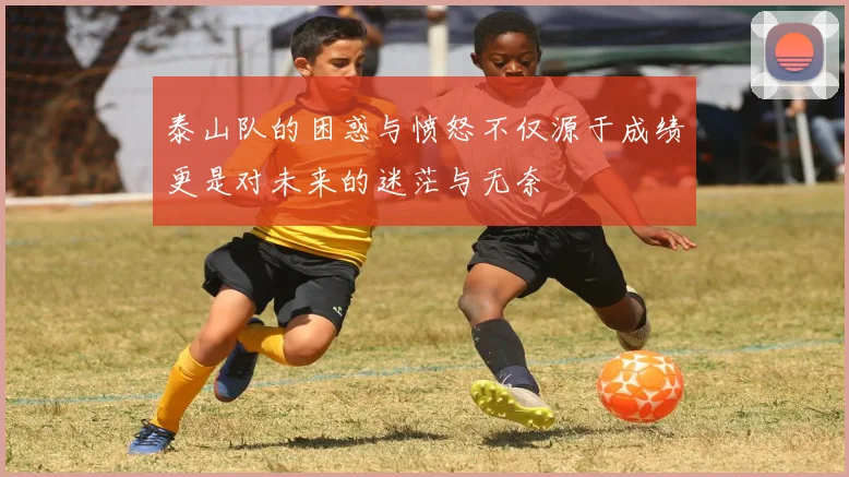 泰山队的困惑与愤怒不仅源于成绩更是对未来的迷茫与无奈