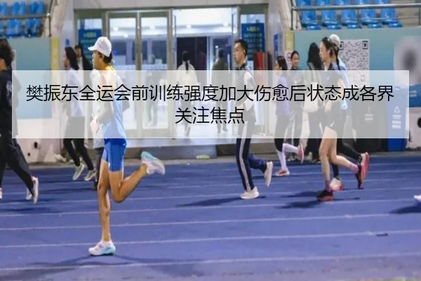 樊振东全运会前训练强度加大伤愈后状态成各界关注焦点(TIANBOSPORTS)